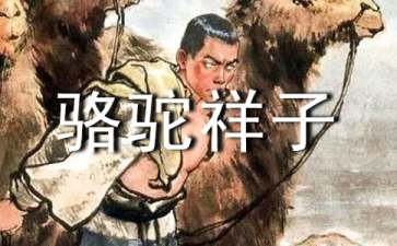 骆驼祥子小学读后感500字