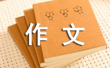 生活的感悟作文300字